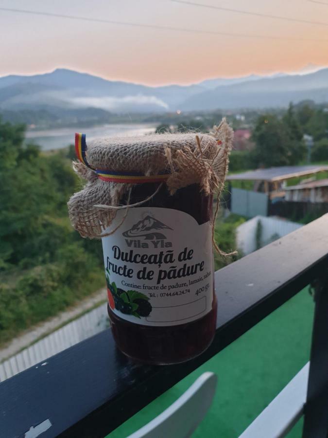 Villa Casa Yla Piatra Neamţ Exterior foto