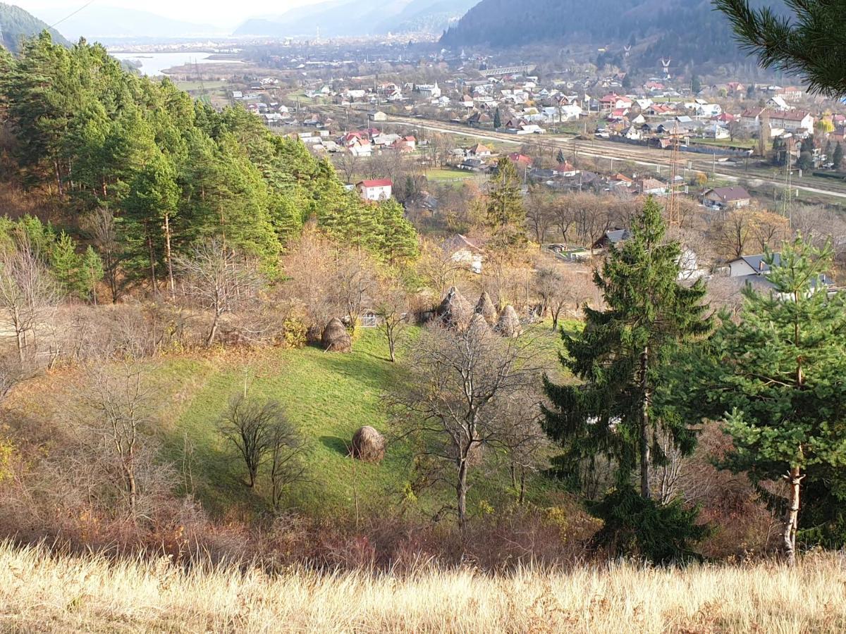 Villa Casa Yla Piatra Neamţ Exterior foto